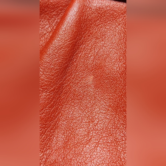 Coach - Picture 6 of 10